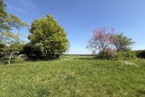 Photo 24- click for photo gallery